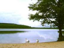 Naturcampingplatz am Springsee